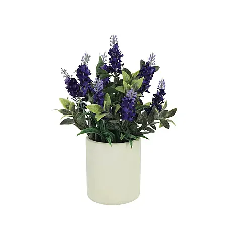 images/uploads/19708/thumb_1-1337 NEW.webp